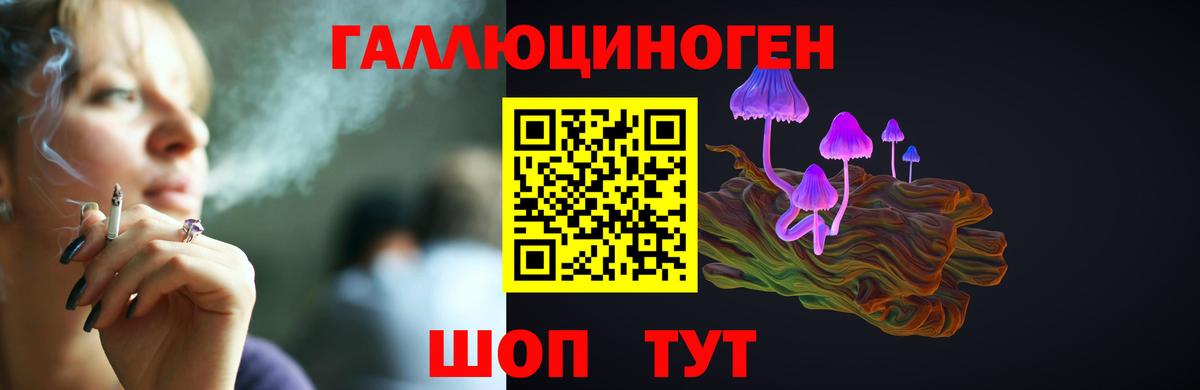 Галлюциногенные грибы Cubensis  Вход с VPN  Мичуринск 